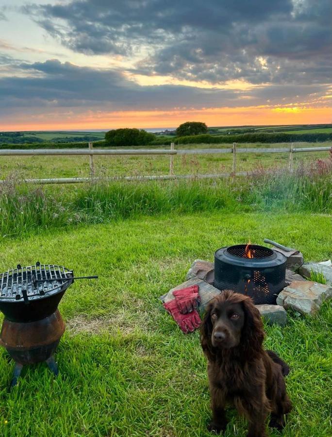Shepherds Hut In A Private Meadow With Sea Views Hartland Exterior photo